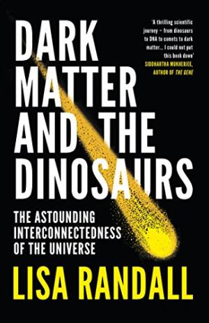 Dark matter and the dinosaurs : the astounding interconnectedness of the universe /  Randall, Lisa