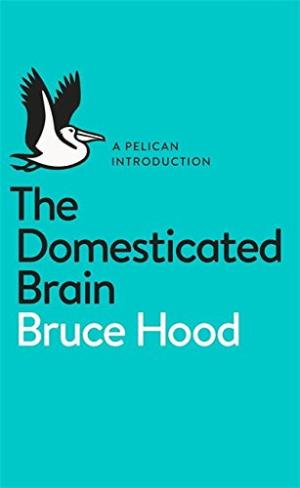 The domesticated brain : a pelican introduction /  Hood, Bruce M. (Bruce MacFarlane), author