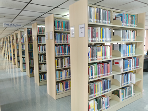 English Books Shelves